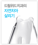 자연치아 살리기